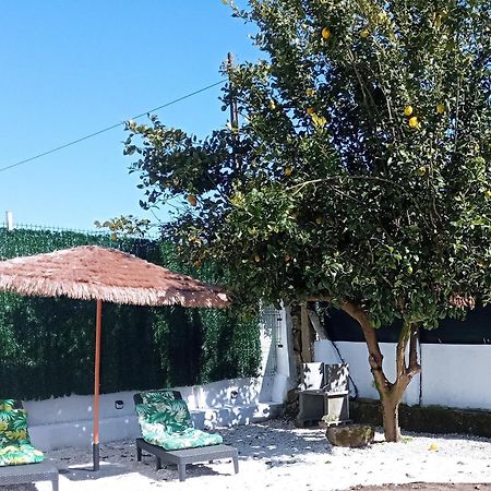 Casa Amelia 1ªp A 50 M Camino De Santiago Villa Padrón Eksteriør billede