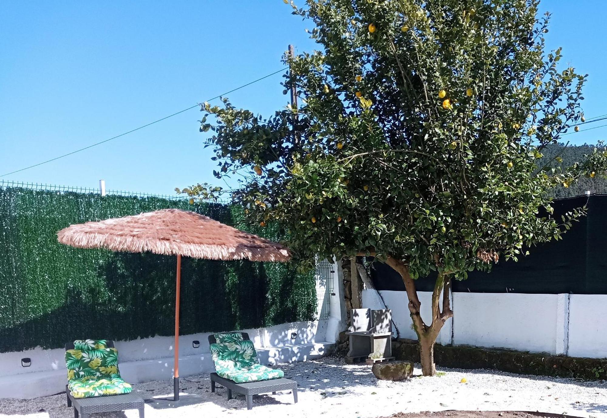 Casa Amelia 1ªp A 50 M Camino De Santiago Villa Padrón Eksteriør billede