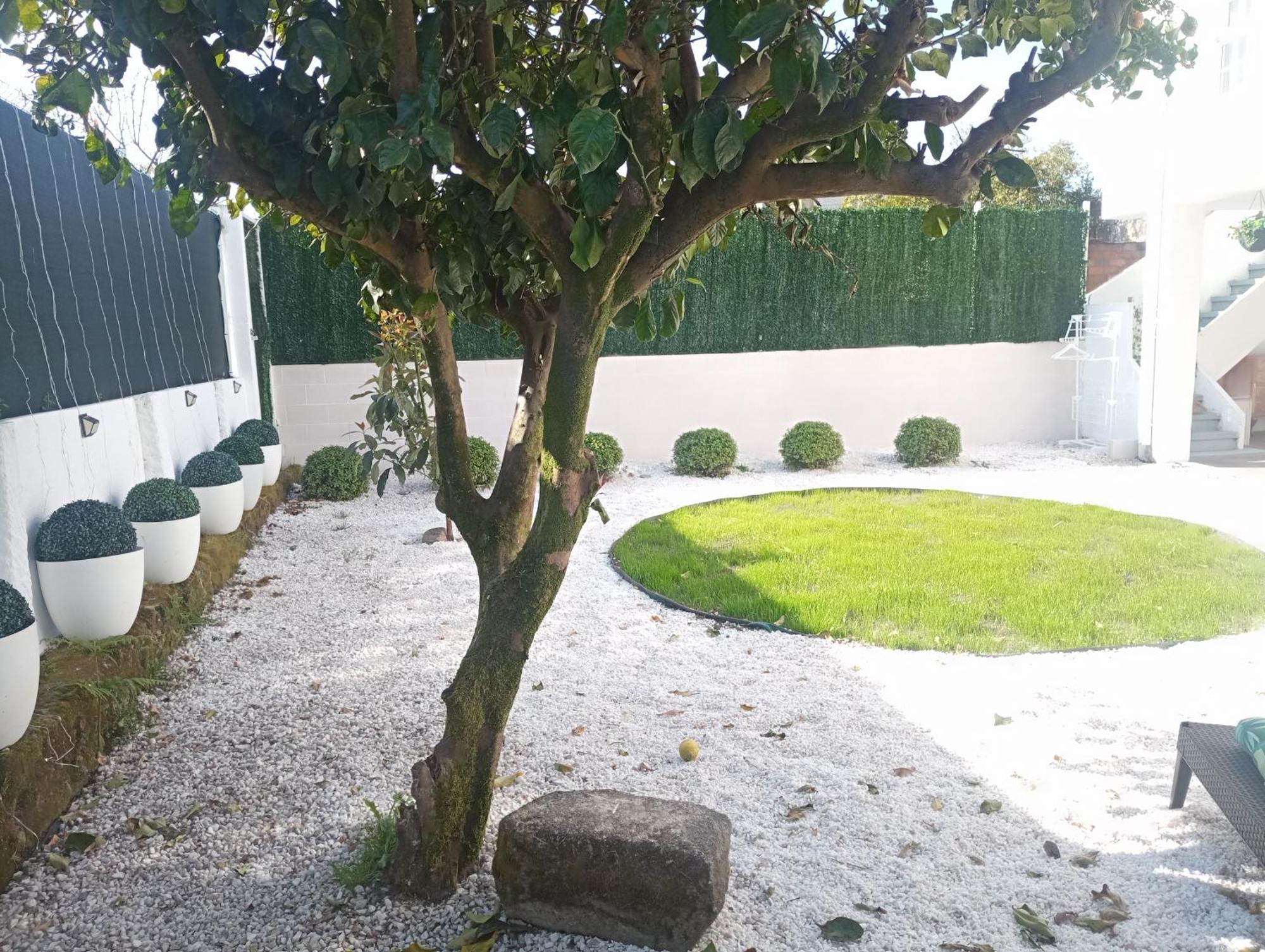 Casa Amelia 1ªp A 50 M Camino De Santiago Villa Padrón Værelse billede